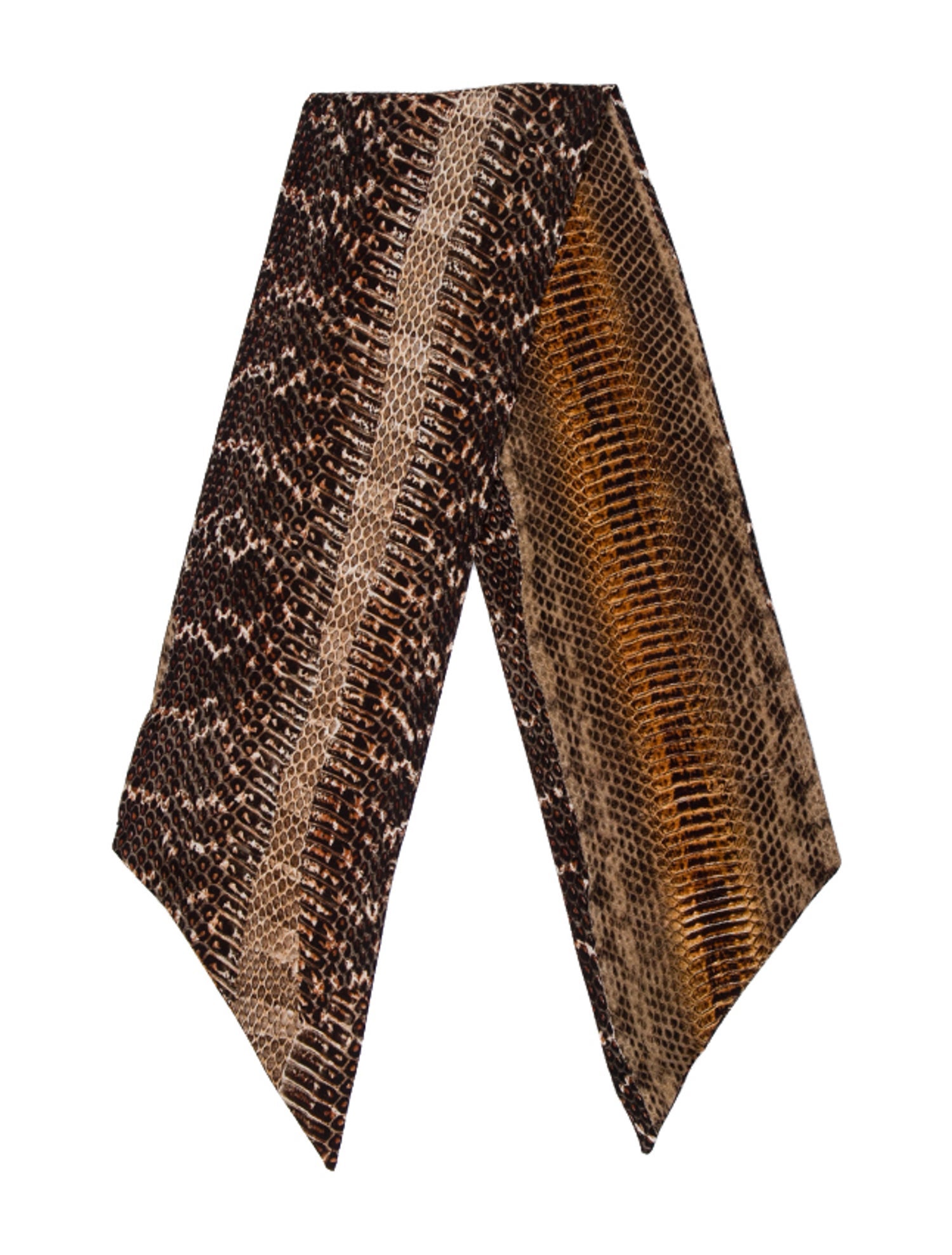 Roberto Cavalli Silk Printed Scarf