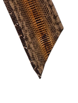 Roberto Cavalli Silk Printed Scarf