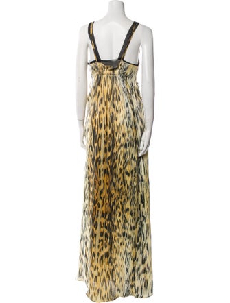 Roberto Cavalli 2011 Long Dress