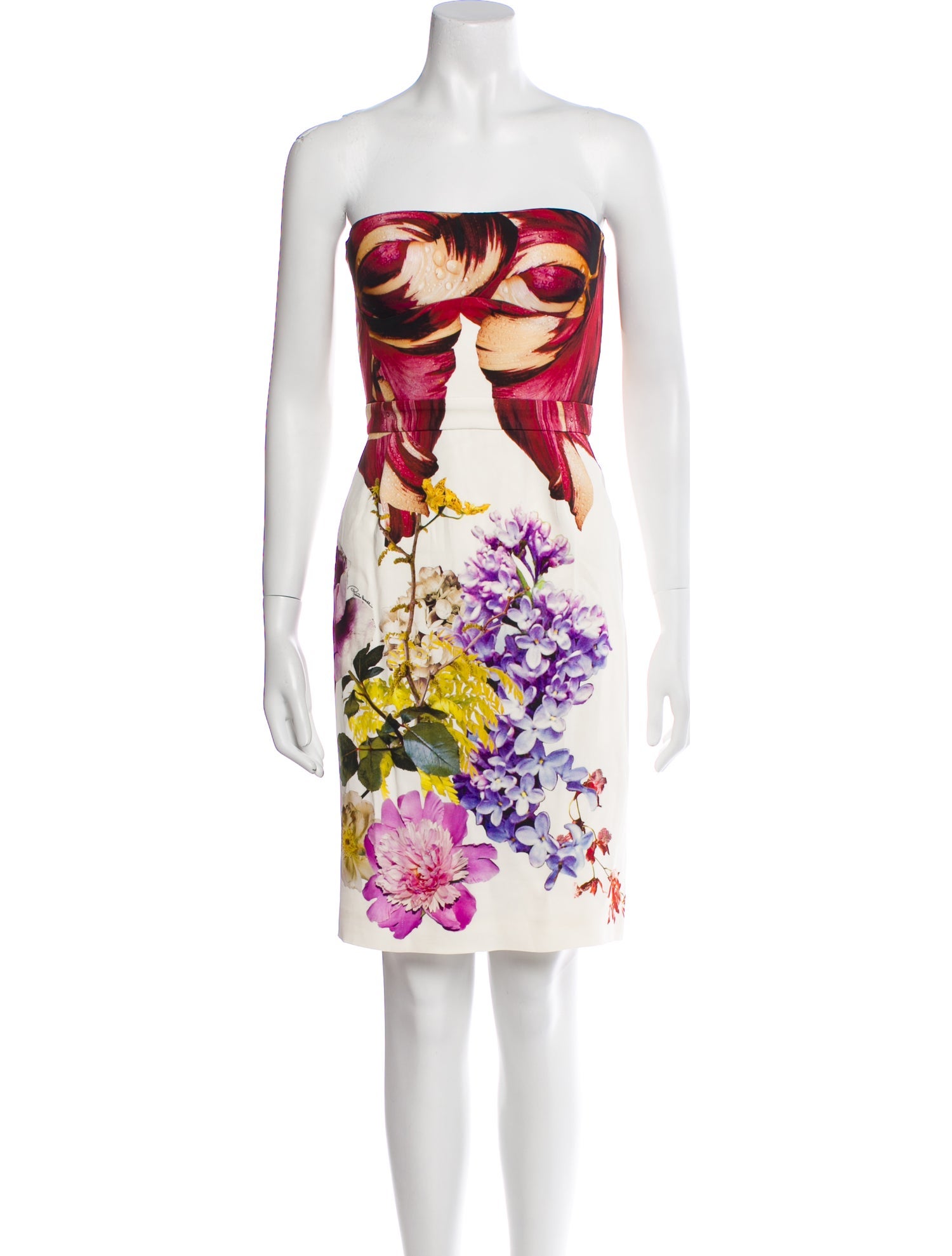 Roberto Cavalli Floral Print Mini Dress