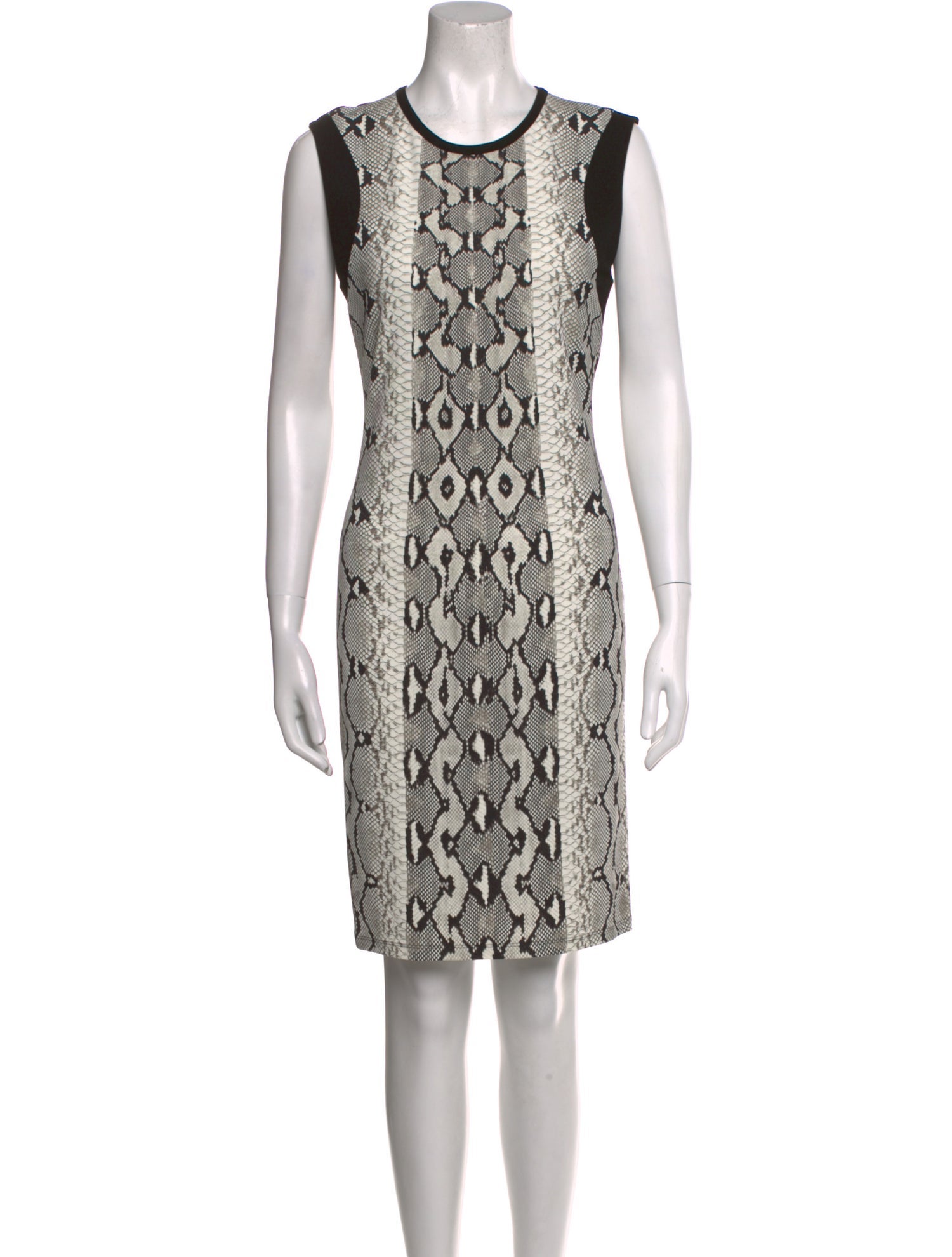 Roberto Cavalli Animal Print Mini Dress