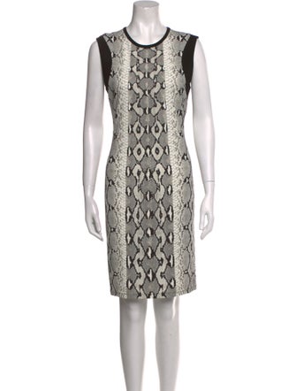 Roberto Cavalli Animal Print Mini Dress