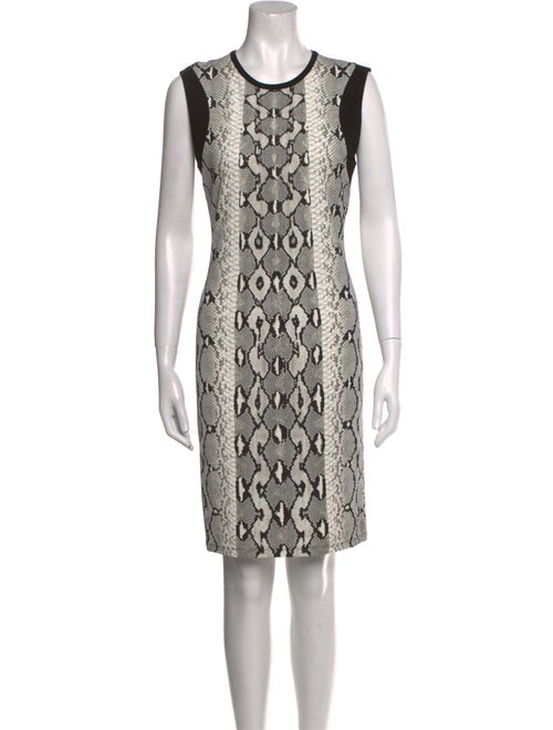 Roberto Cavalli Animal Print Mini Dress