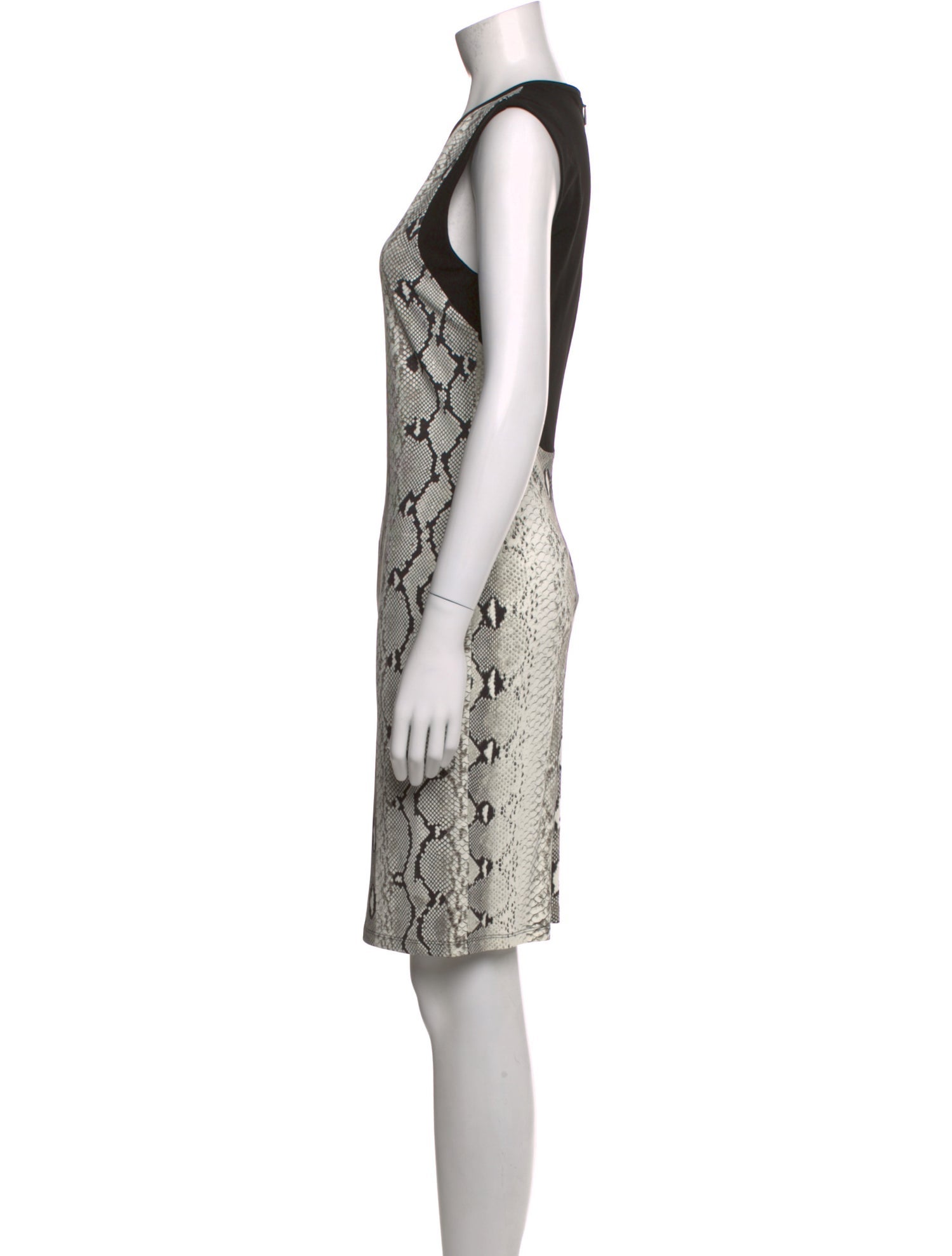 Roberto Cavalli Animal Print Mini Dress