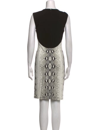 Roberto Cavalli Animal Print Mini Dress