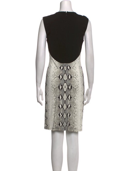 Roberto Cavalli Animal Print Mini Dress