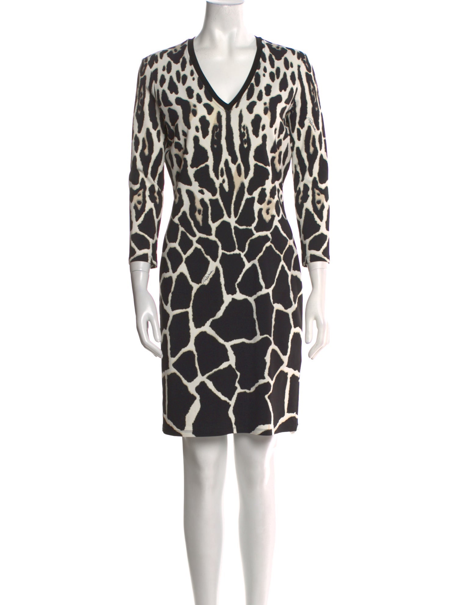 Roberto Cavalli Animal Print Mini Dress