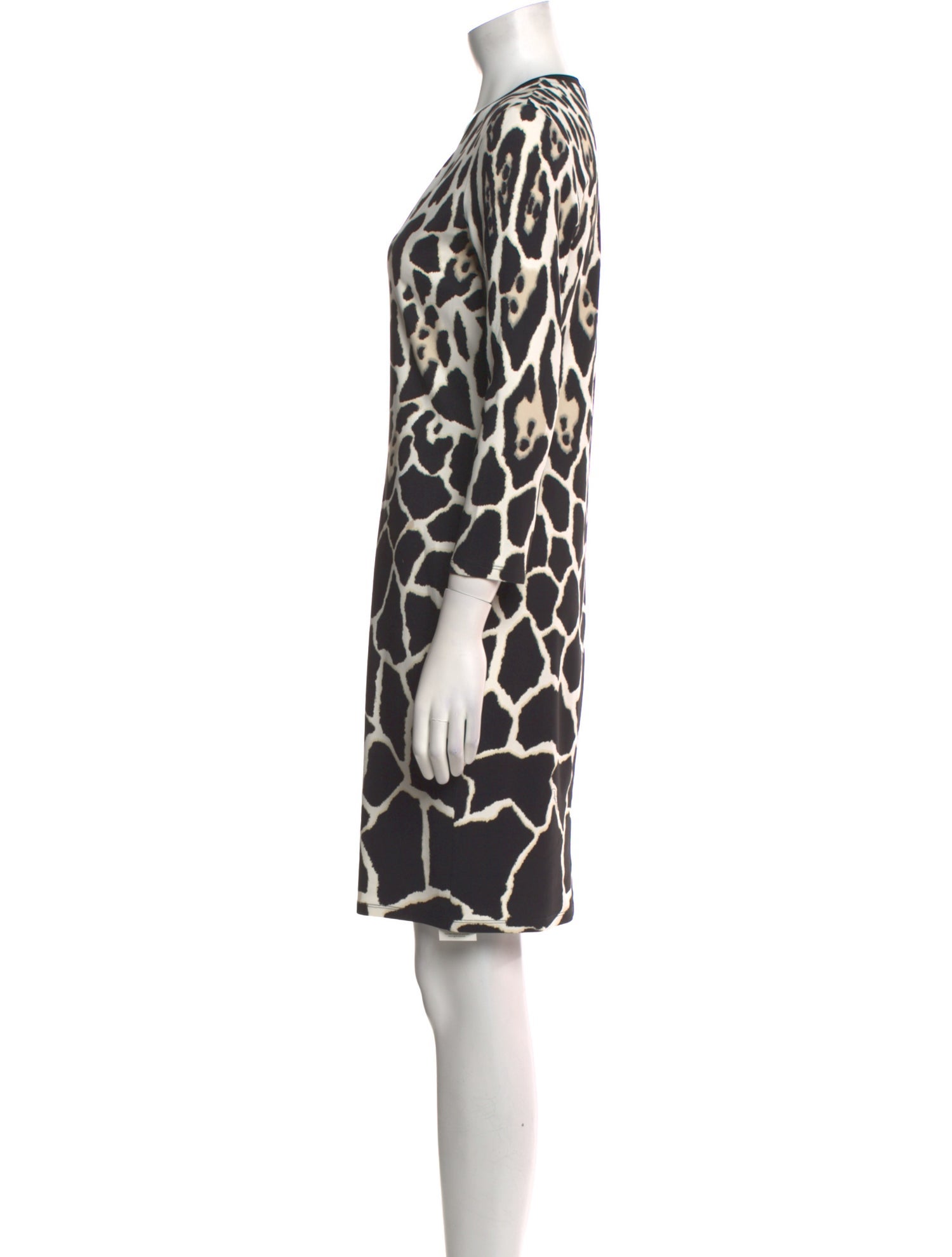 Roberto Cavalli Animal Print Mini Dress