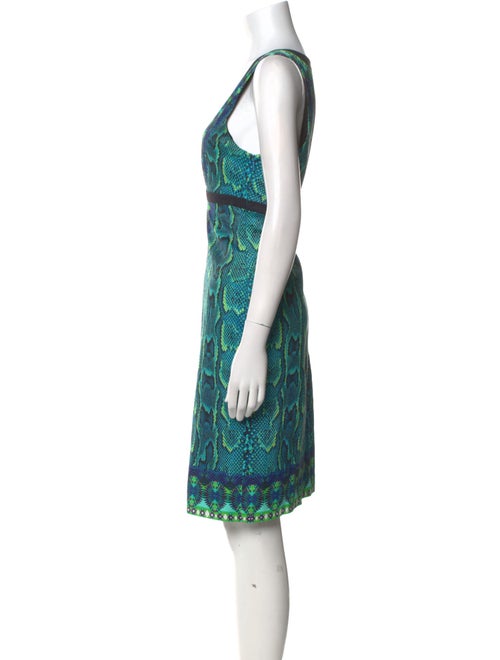 Roberto Cavalli Printed Knee-Length Dress