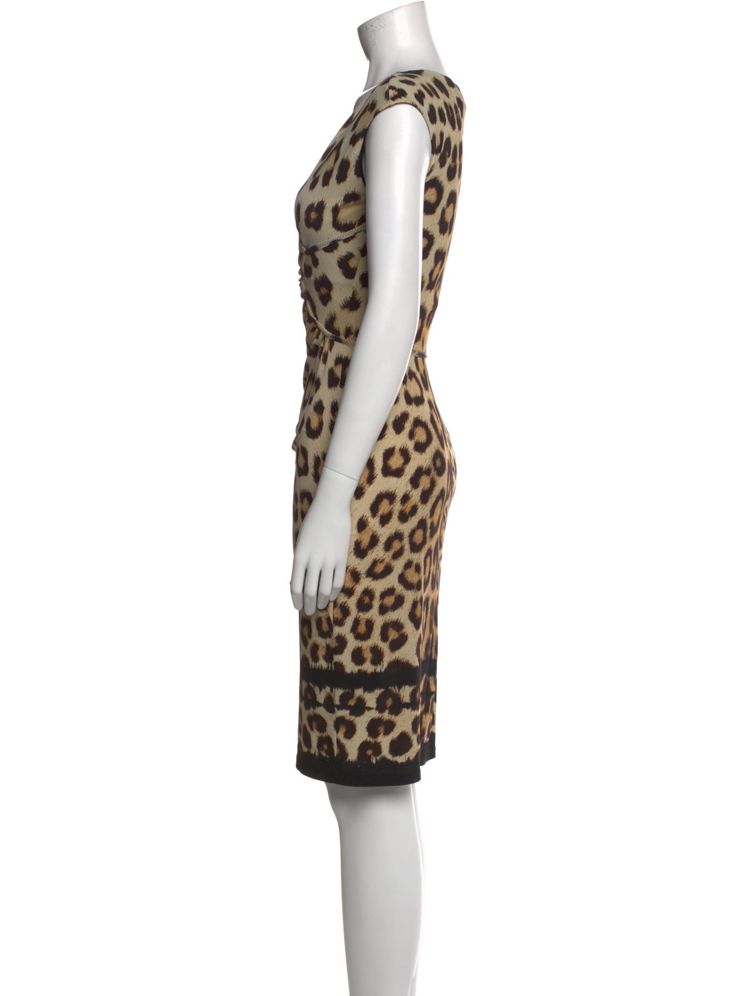 Roberto Cavalli Animal Print Mini Dress
