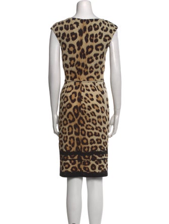 Roberto Cavalli Animal Print Mini Dress