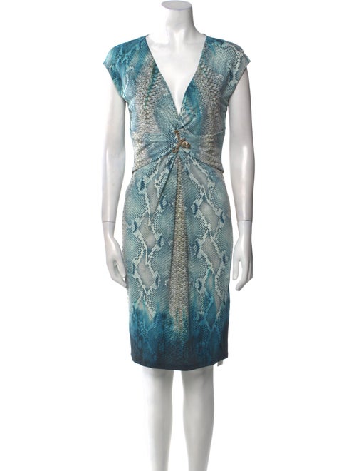 Roberto Cavalli Animal Print Knee-Length Dress
