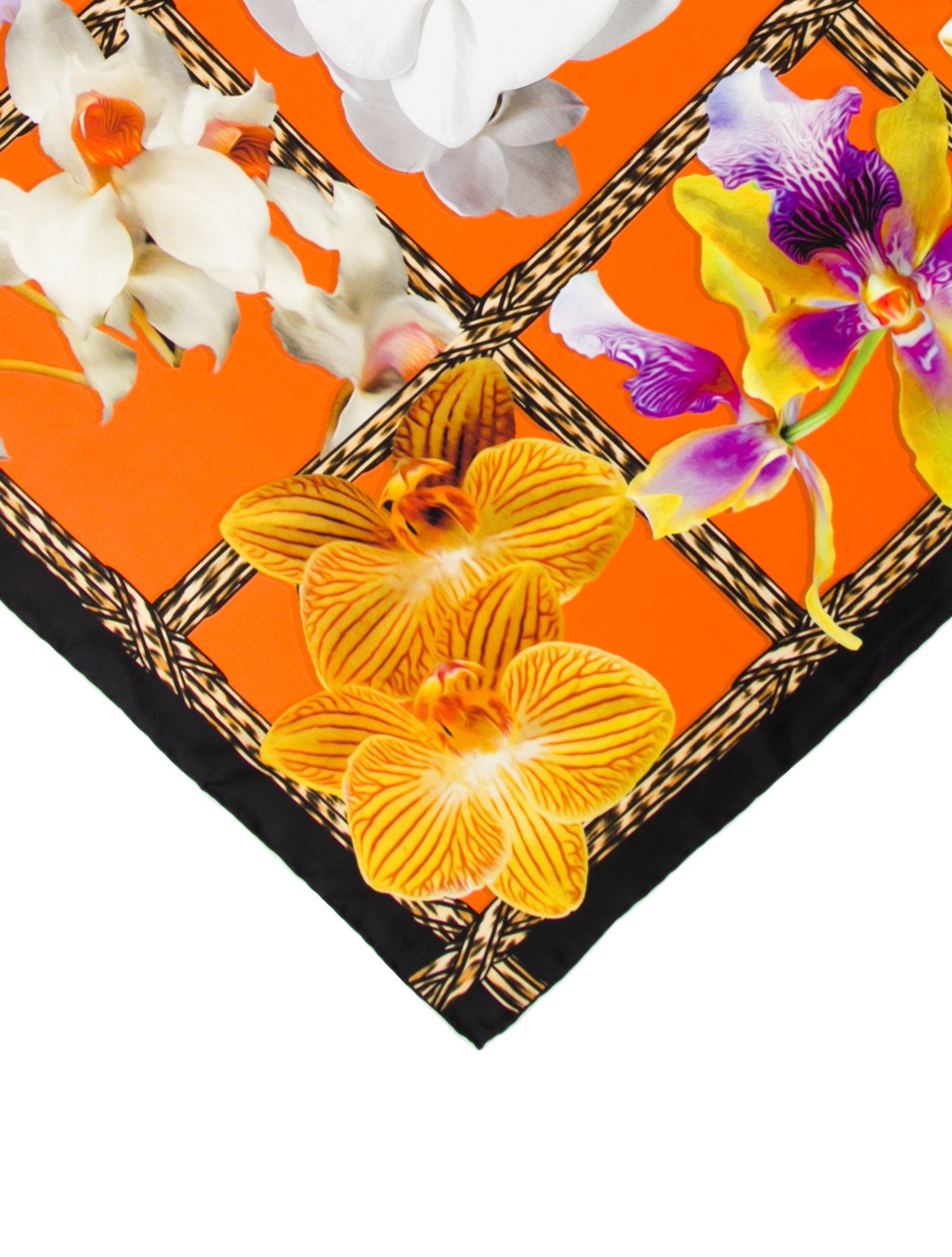 Roberto Cavalli Silk Printed Scarf
