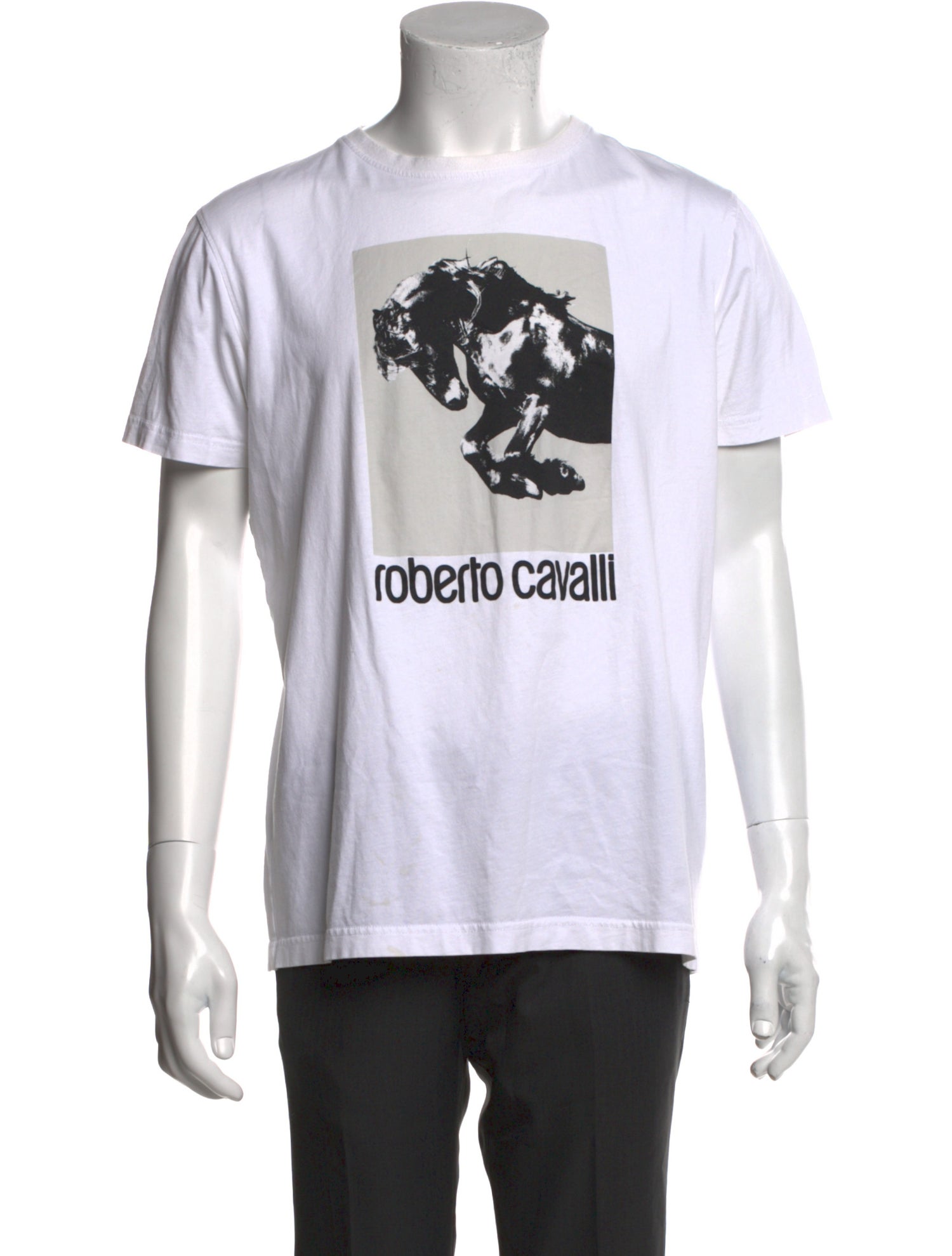 Roberto Cavalli Graphic Print Crew Neck T-Shirt