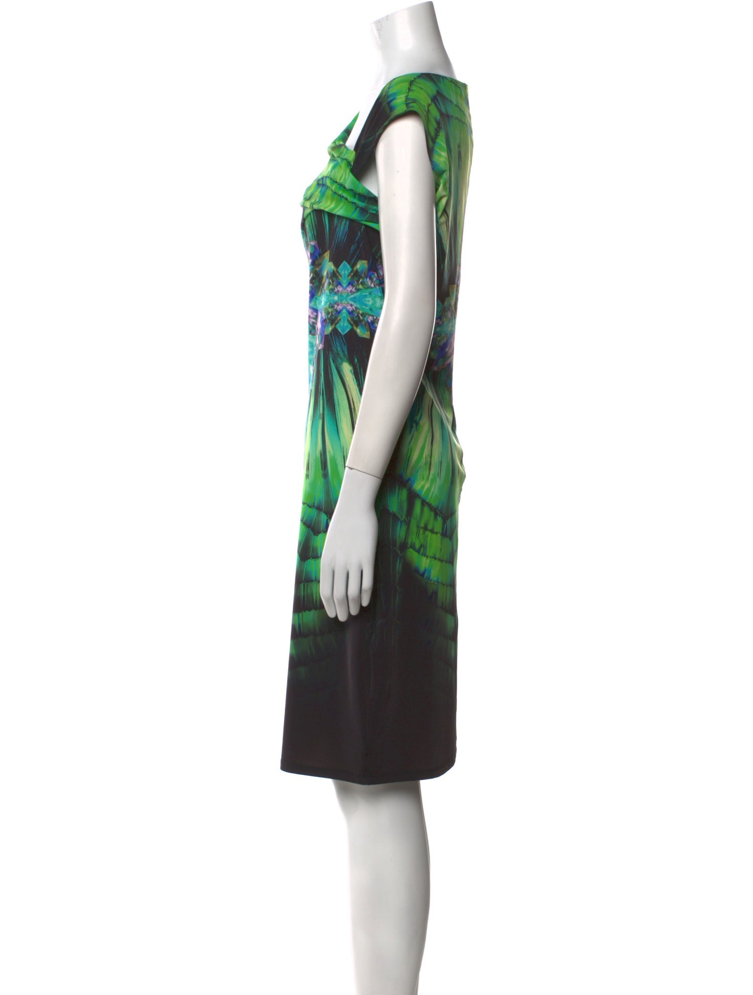 Roberto Cavalli Printed Knee-Length Dress