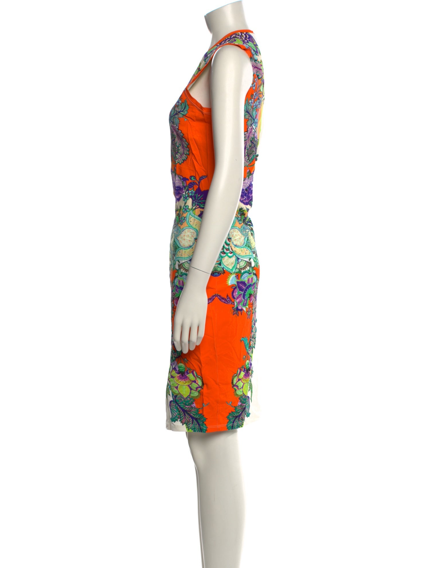 Roberto Cavalli Printed Knee-Length Dress