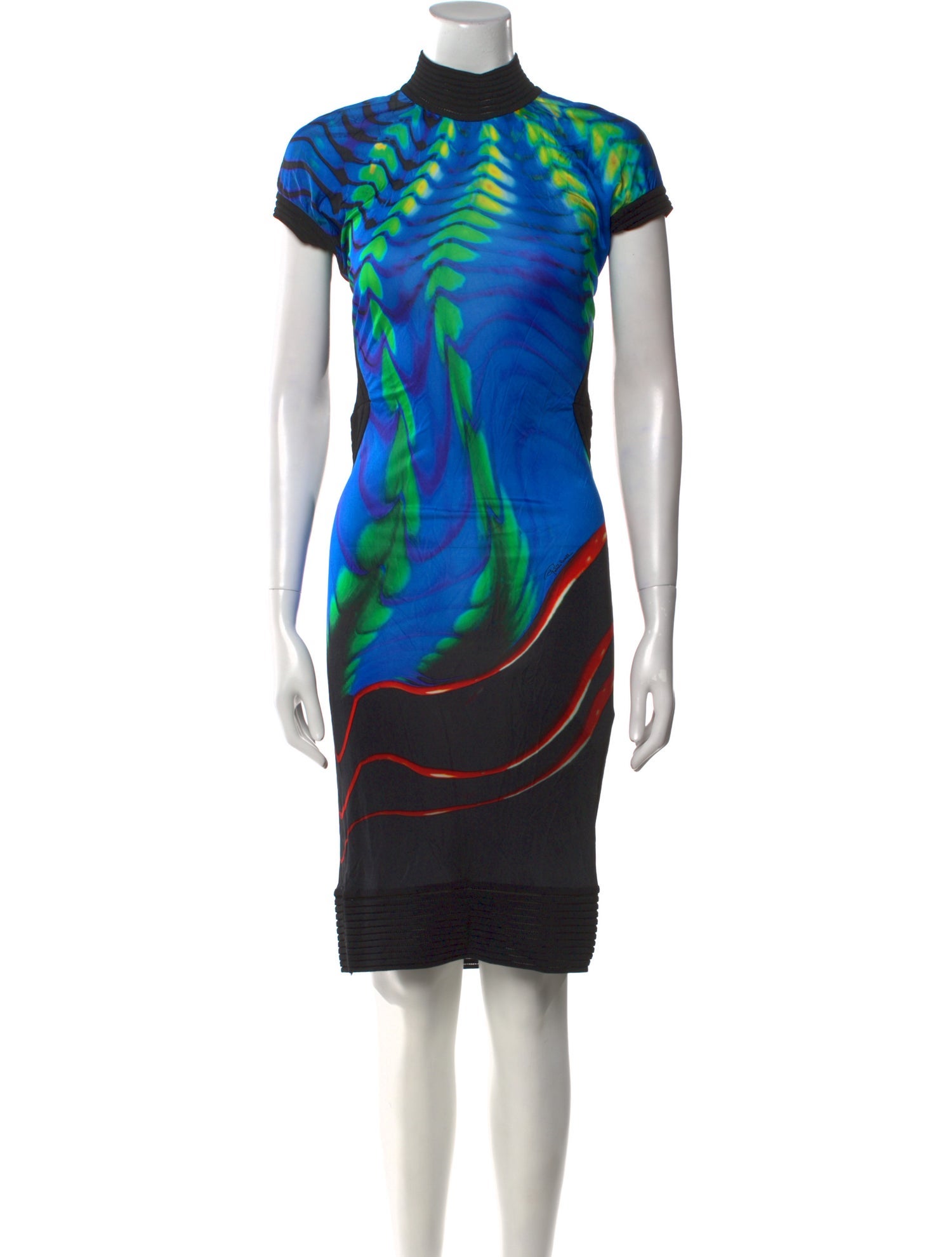 Roberto Cavalli Printed Knee-Length Dress