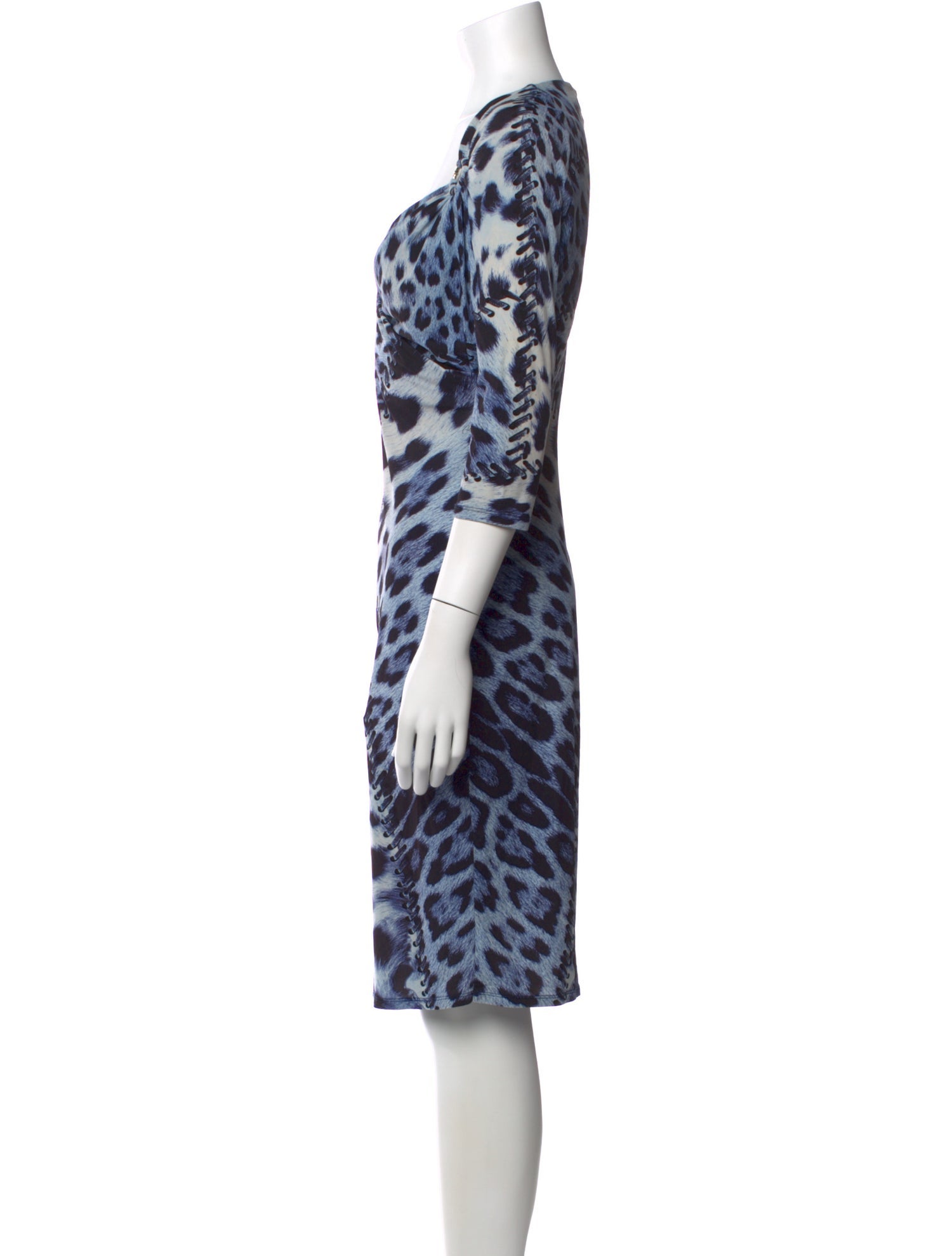 Roberto Cavalli Animal Print Knee-Length Dress