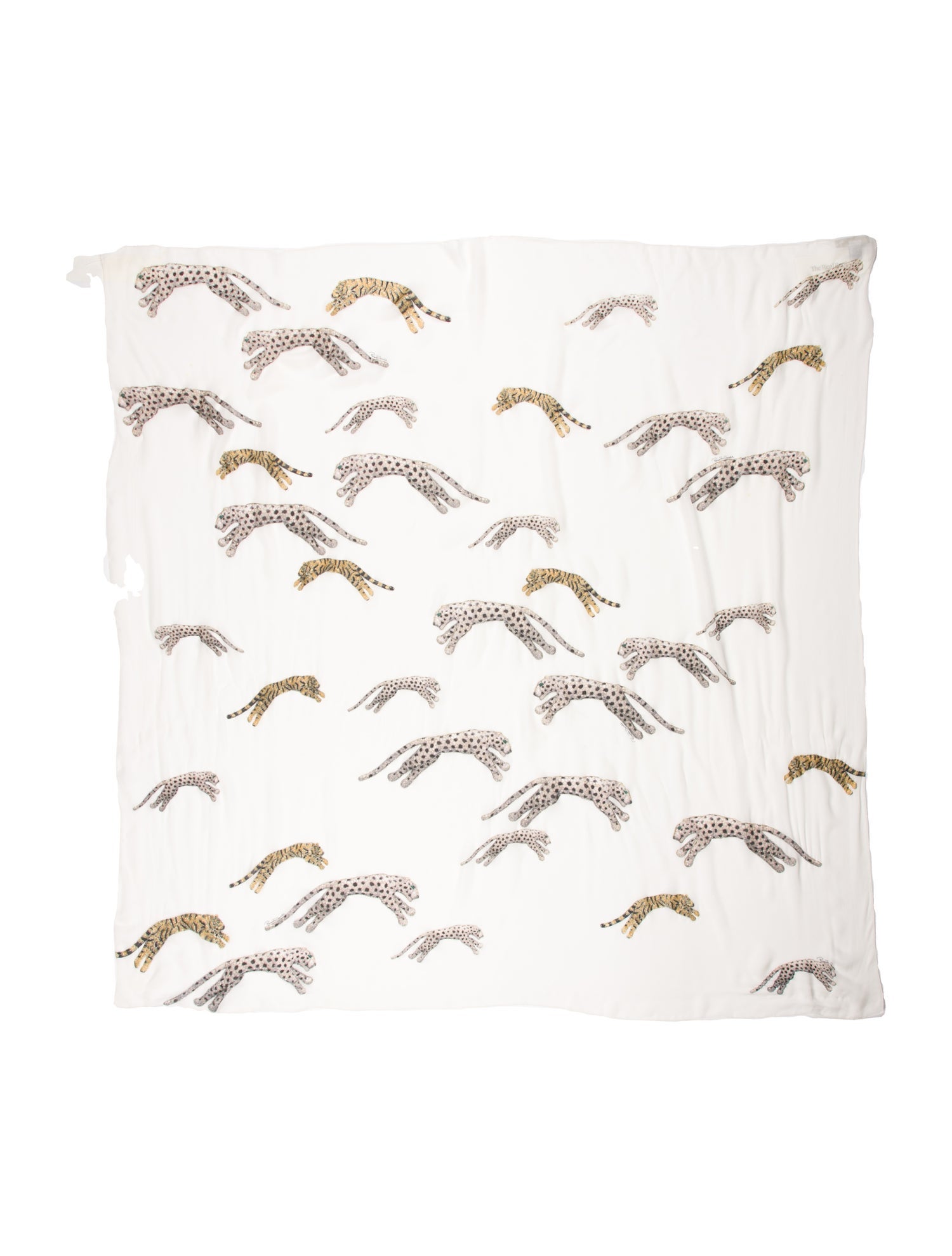 Roberto Cavalli Printed Scarf