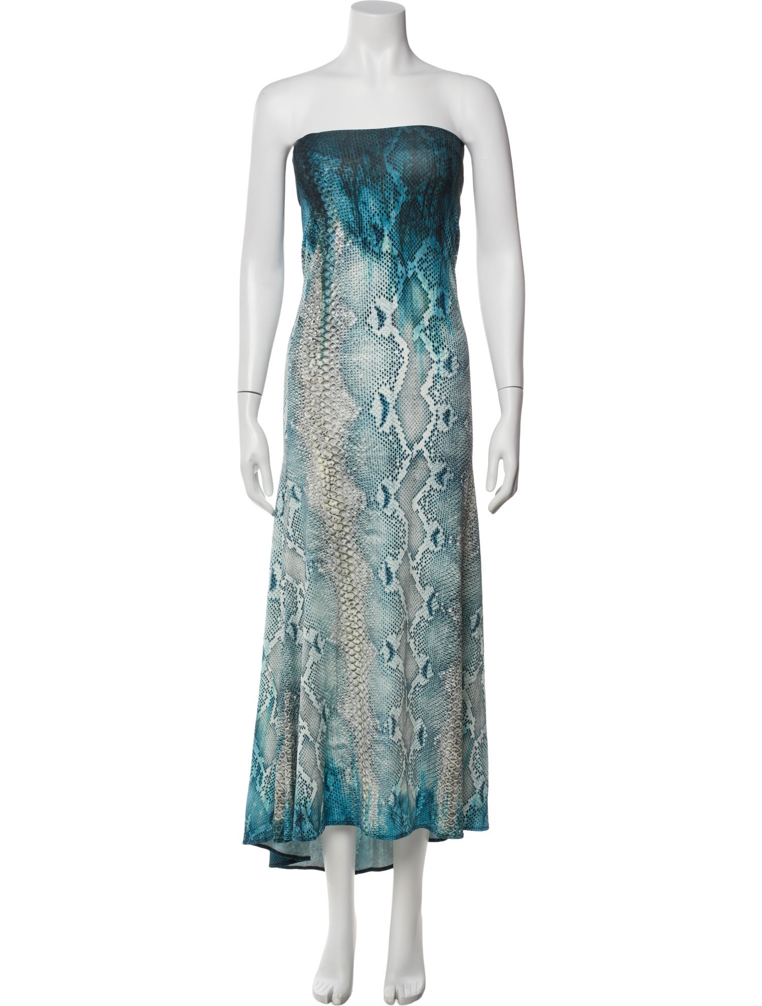 Roberto Cavalli Animal Print Long Dress