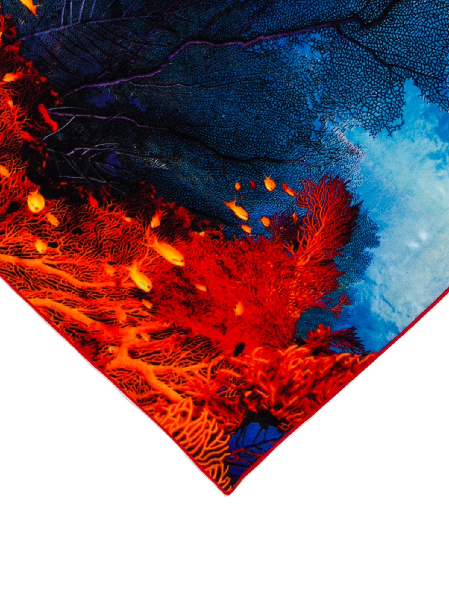 Roberto Cavalli Silk Printed Scarf