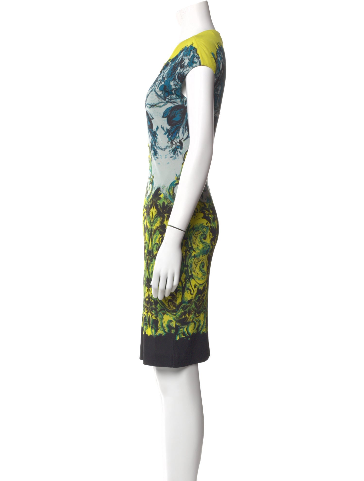 Roberto Cavalli Printed Knee-Length Dress
