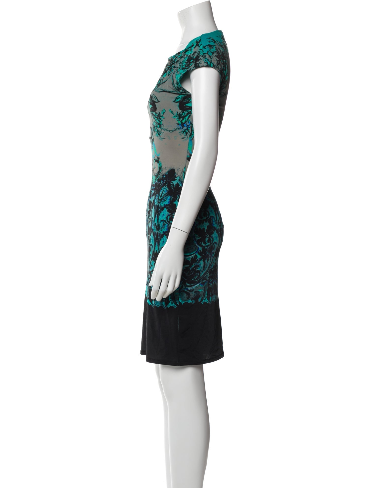 Roberto Cavalli Printed Knee-Length Dress