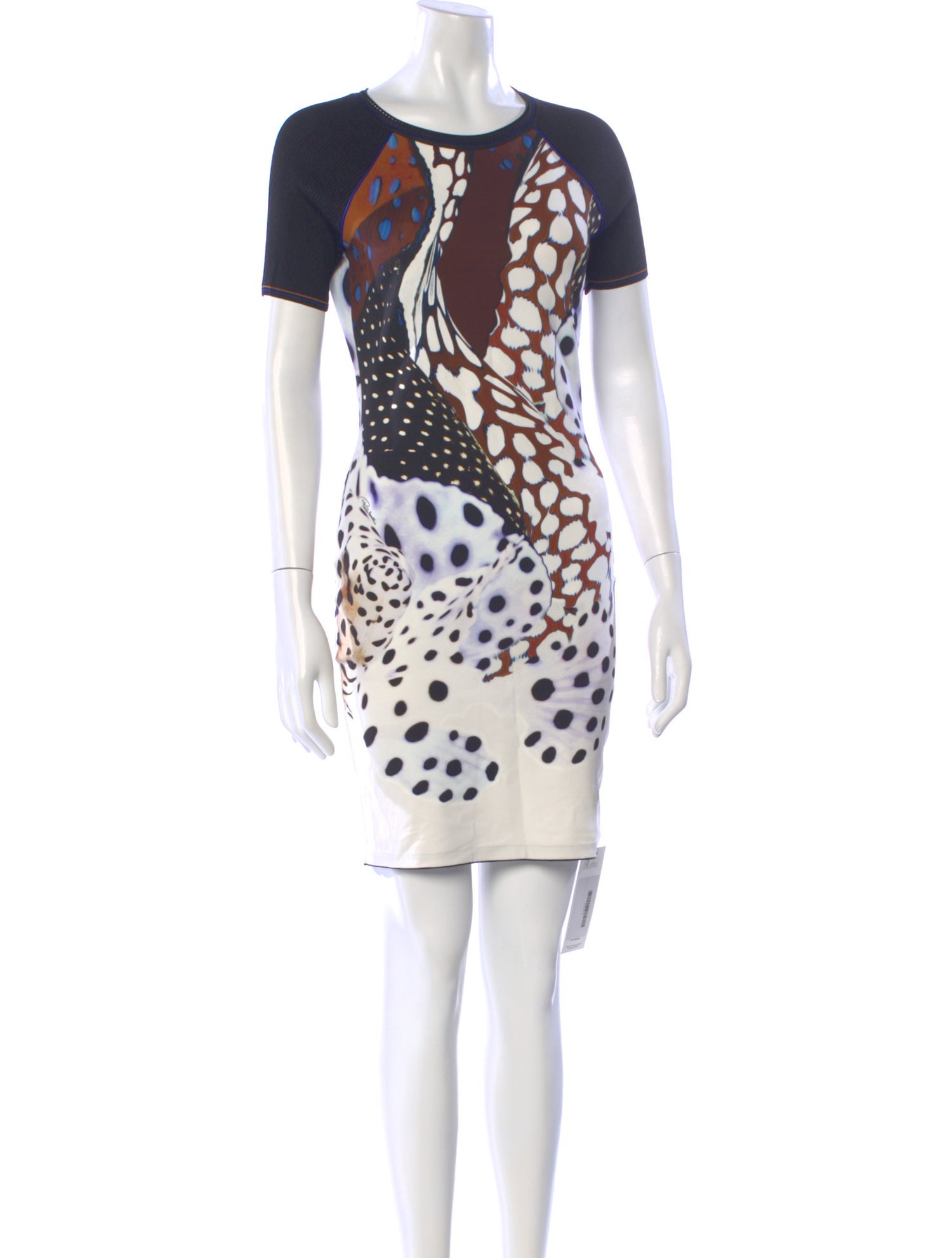 Roberto Cavalli Printed Mini Dress