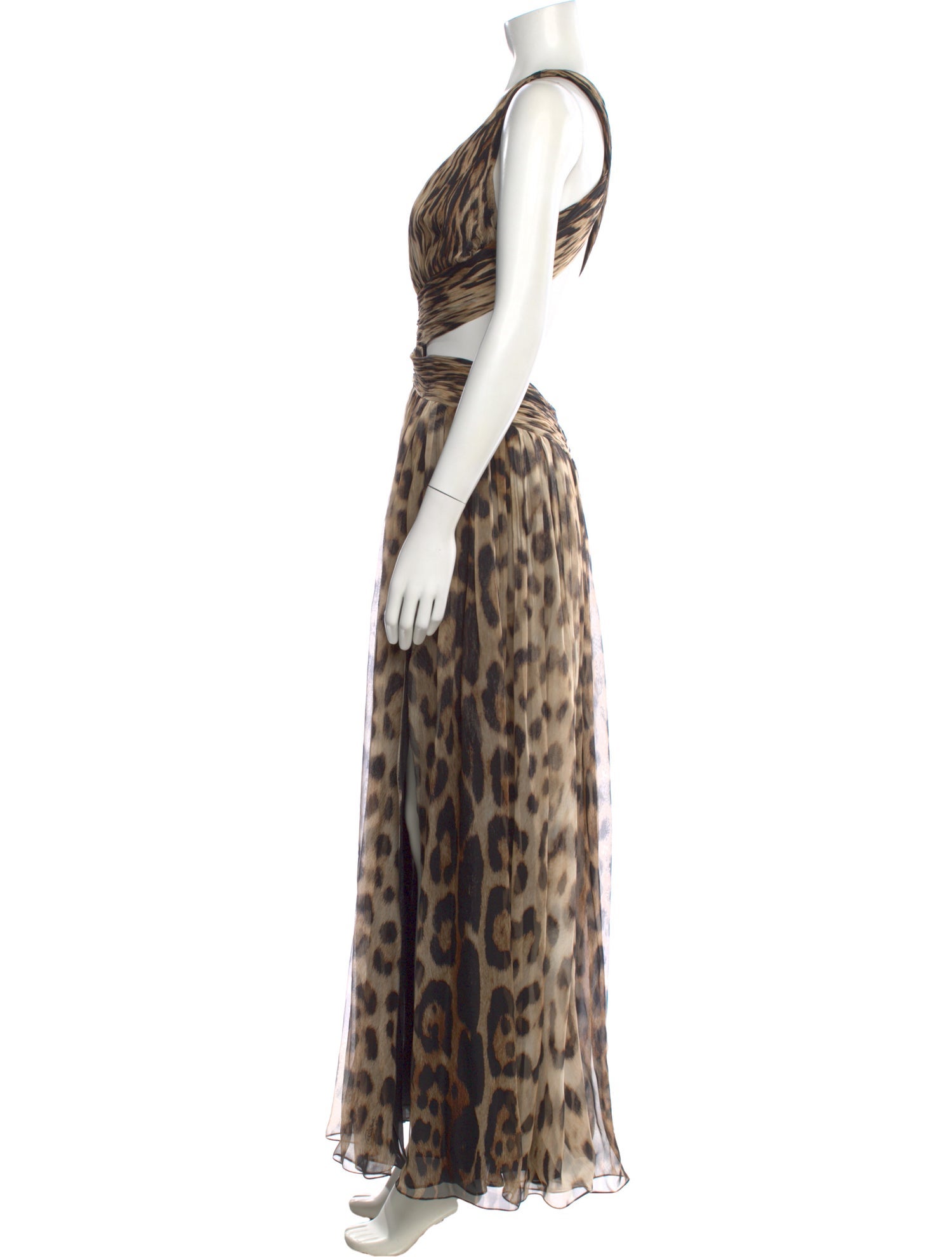 Roberto Cavalli 2014 Long Dress