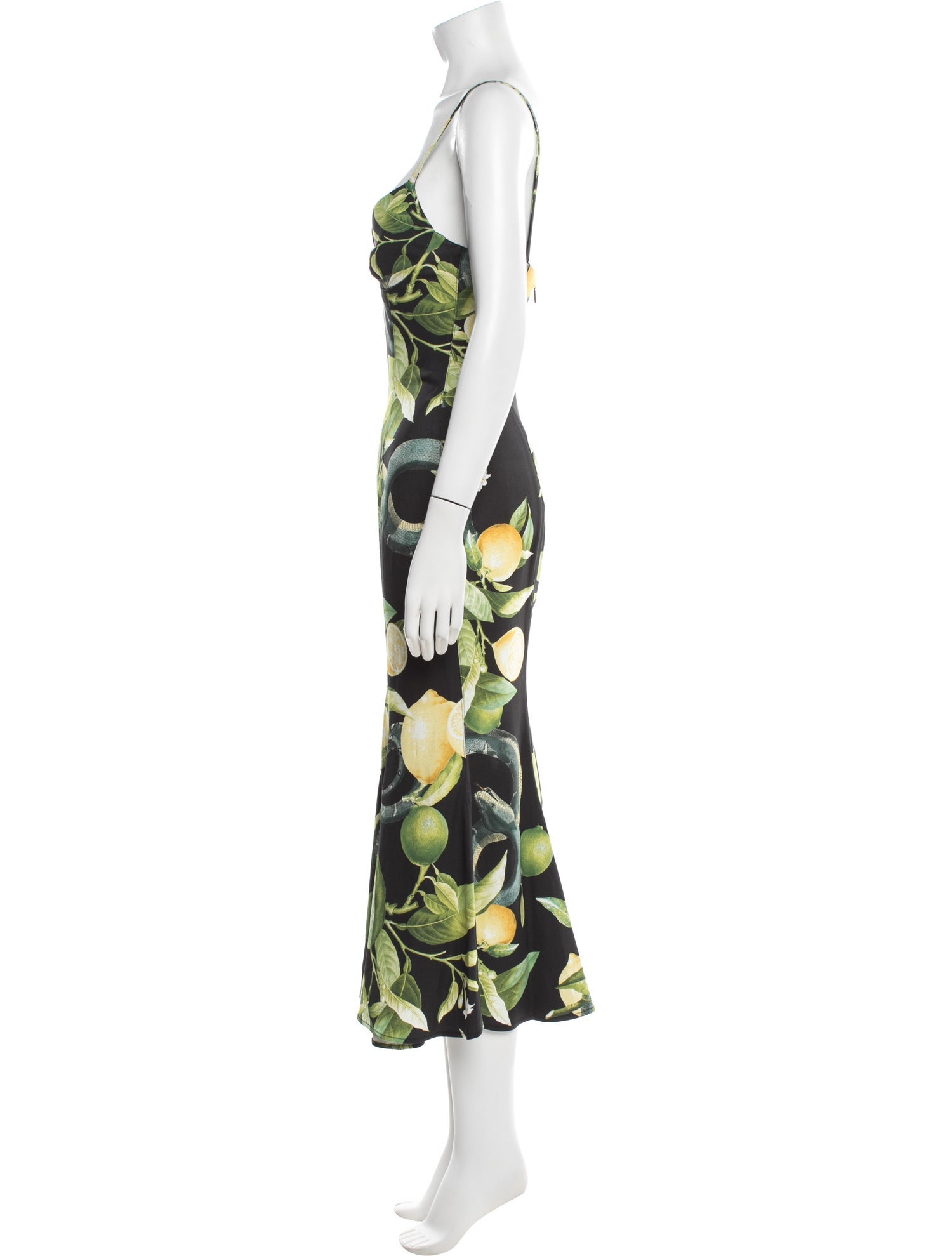 Roberto Cavalli Printed Midi Length Dress