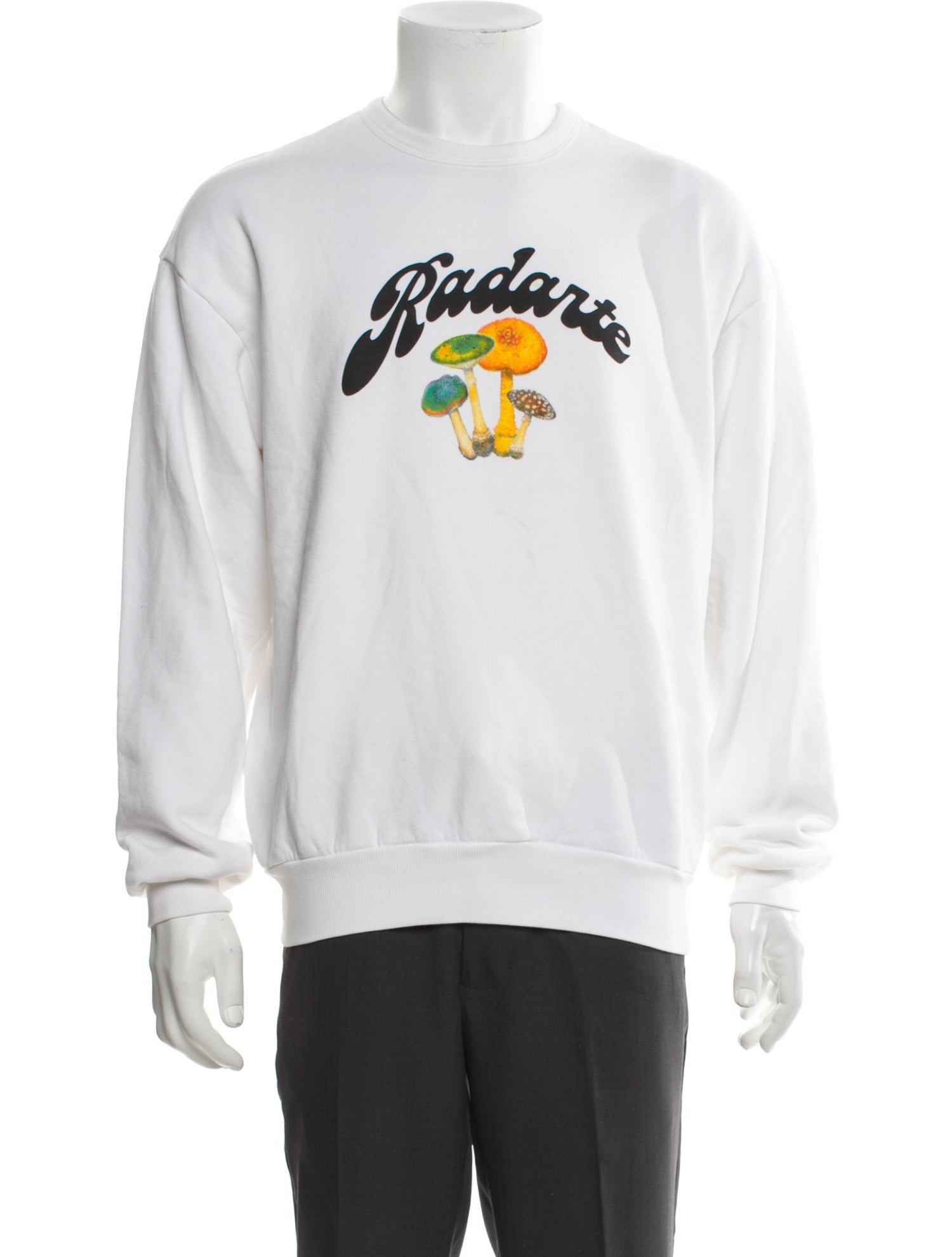 Rodarte Graphic Print Crew Neck Sweatshirt