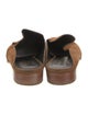 Robert Clergerie Suede Mules