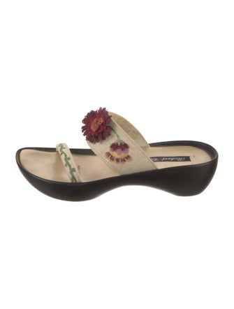 Robert Clergerie Slides