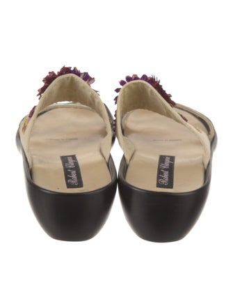 Robert Clergerie Slides