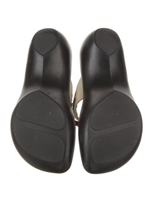 Robert Clergerie Slides