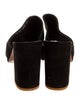 Robert Clergerie Suede Slides