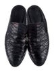 Robert Clergerie Snakeskin Mules