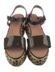 Robert Clergerie Straw Printed Espadrilles