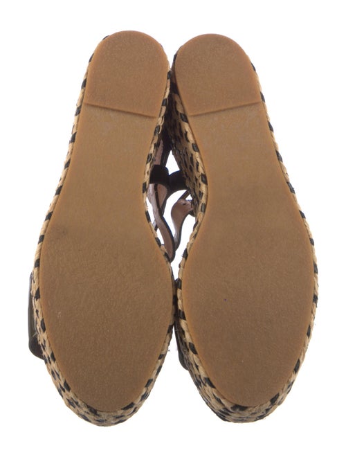 Robert Clergerie Straw Printed Espadrilles