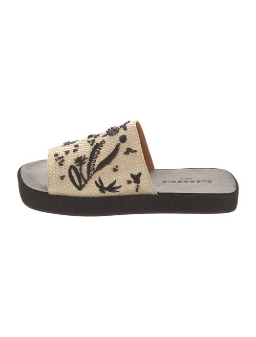 Robert Clergerie Raffia Printed Slides