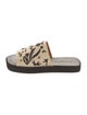 Robert Clergerie Raffia Printed Slides