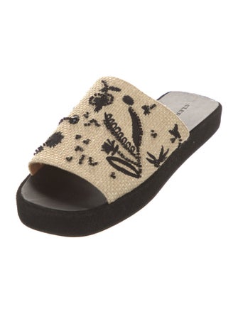 Robert Clergerie Raffia Printed Slides