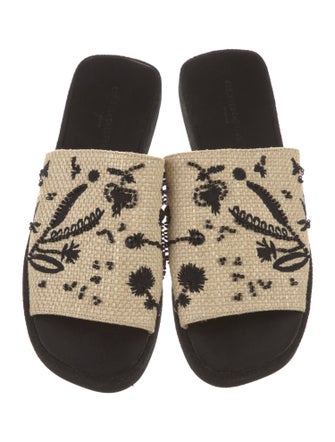 Robert Clergerie Raffia Printed Slides
