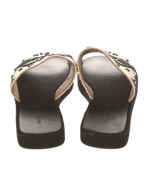 Robert Clergerie Raffia Printed Slides