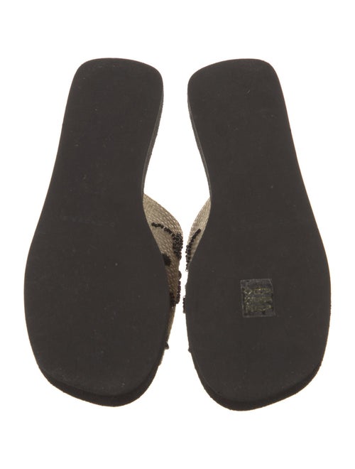 Robert Clergerie Raffia Printed Slides