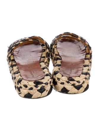 Robert Clergerie Straw Printed Espadrilles