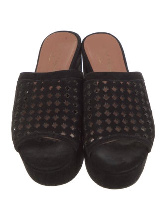 Robert Clergerie Suede Lasercut Accents Slides
