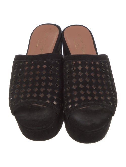 Robert Clergerie Suede Lasercut Accents Slides