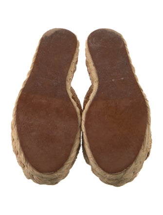 Robert Clergerie Raffia Espadrilles
