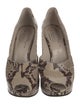 Robert Clergerie Leather Animal Print Pumps